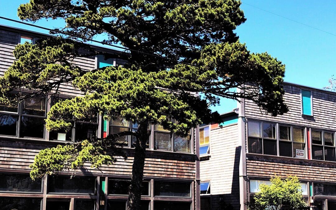 Protect yourself from Carbon Monoxide at Home and at Work