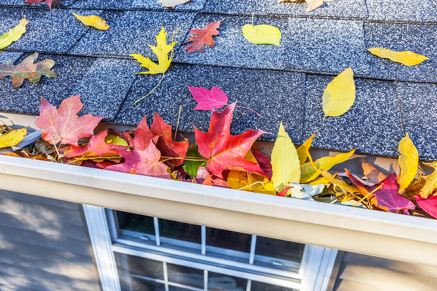 Five Things To Do For Fall Maintenance For Your Home