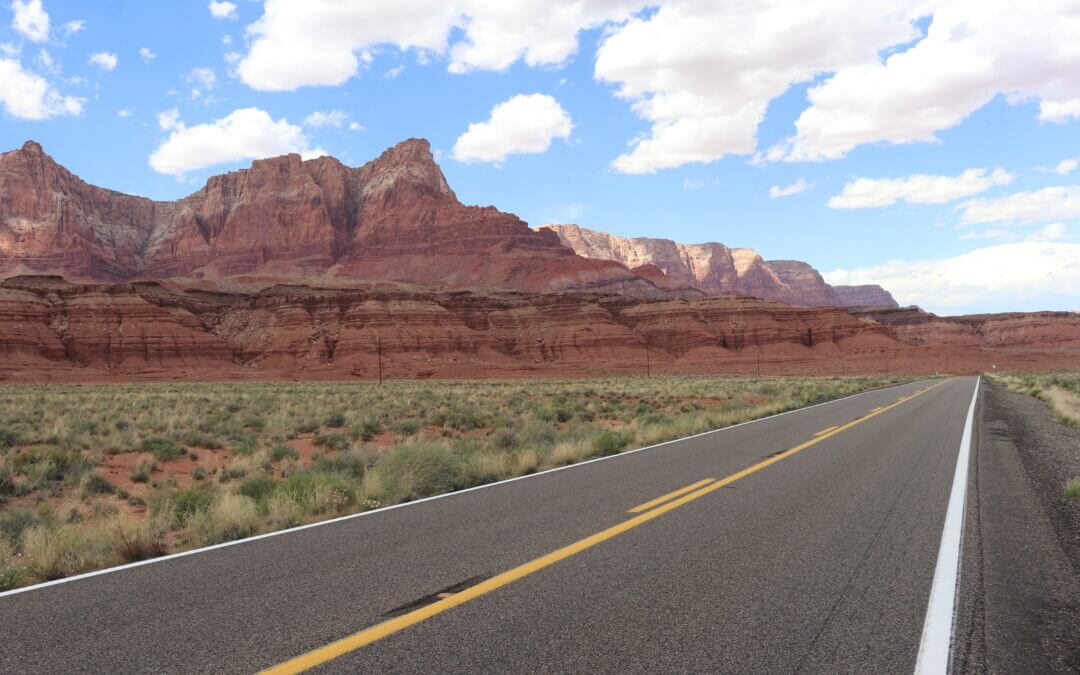 Essentials to Pack for Your Road Trip This Summer