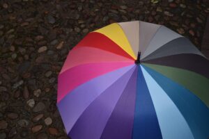 Umbrella Insurance Lynnwood, TX