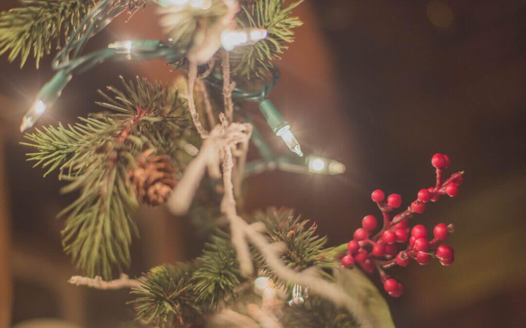 Safety Tips for This Holiday Season