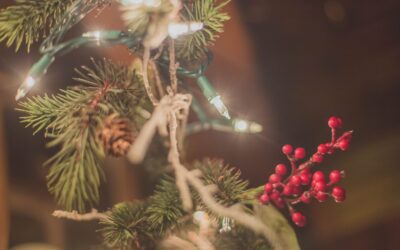 Safety Tips for This Holiday Season