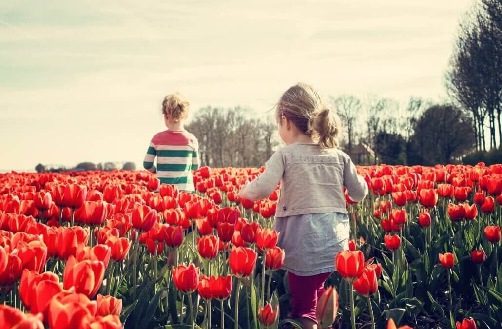 5 Things to Consider Doing This Spring