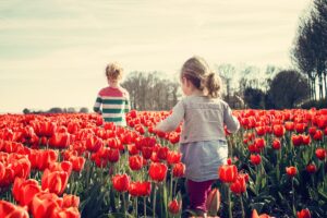 Spring Activities to Consider in Lynnwood, Washington